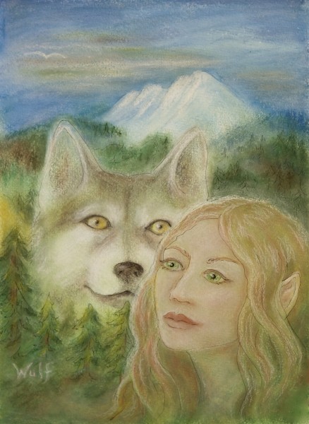 elvin dream of wolf in Shasta wilderness