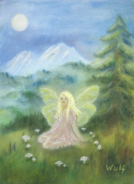 shasta fairy in mountain meadow