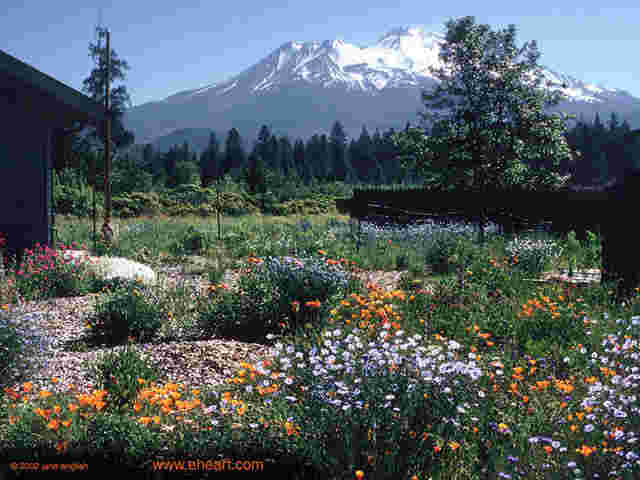 Mount Shasta