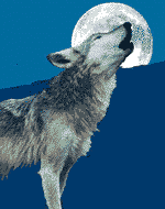 Animated wolf howling